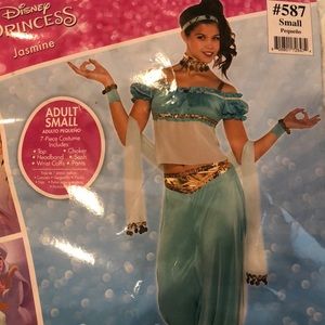 Princess Jasmine Costume